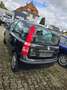 Fiat Panda 1.2 8V Dynamic Noir - thumbnail 5