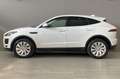 Jaguar E-Pace JAGUAR E-Pace 2.0D 150 CV AWD aut. White - thumbnail 10