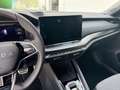 Skoda Octavia 2.0 TDI DPF Sportline Klima Einparkhilfe Grau - thumbnail 12
