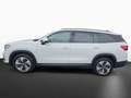 Skoda Kodiaq 1.5 TSI mHEV Selection Weiß - thumbnail 7