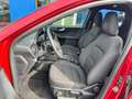 Ford Kuga Kuga 1.5 ecoblue ST-Line 2wd 120cv auto Rood - thumbnail 6
