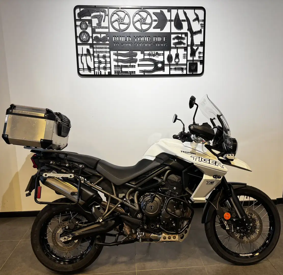 Triumph Tiger 800 Blanc - 1
