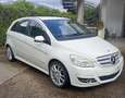 Mercedes-Benz B 200 B 200 cdi Sport Bianco - thumbnail 4