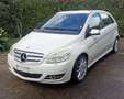 Mercedes-Benz B 200 B 200 cdi Sport Bianco - thumbnail 3