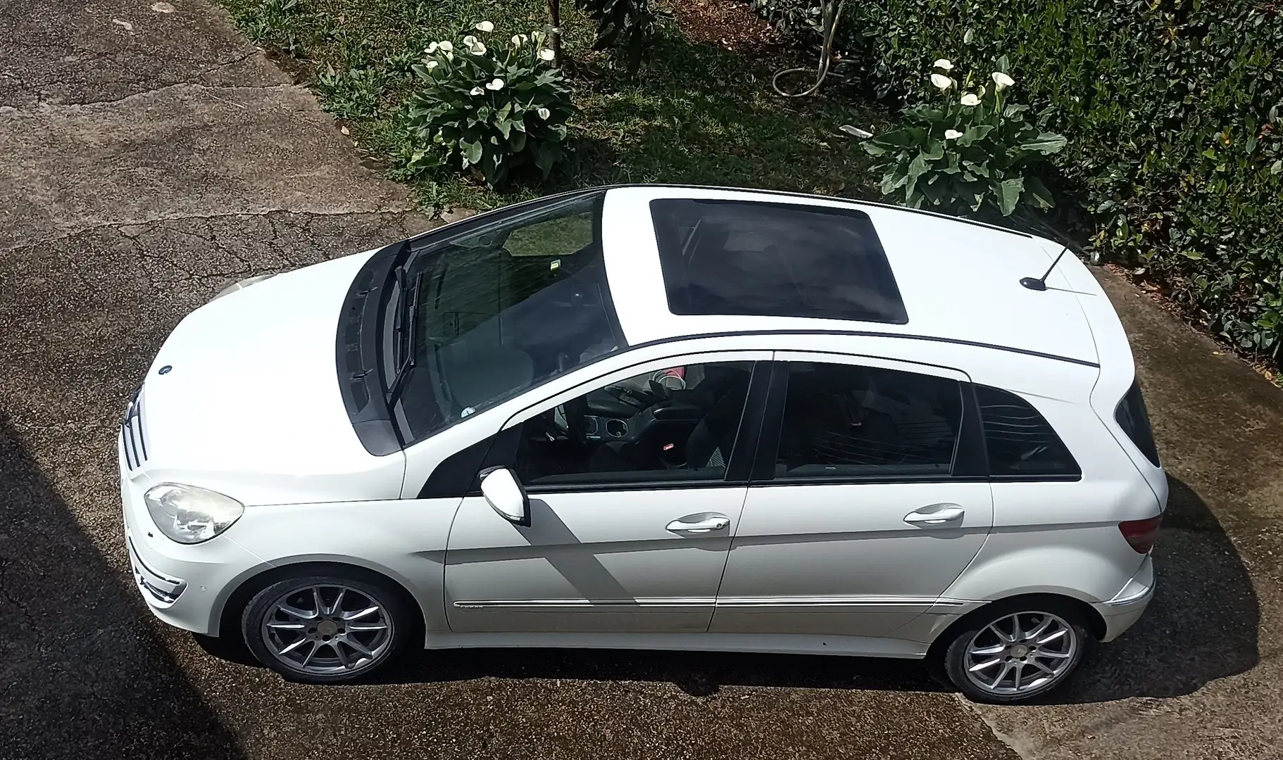 Mercedes-Benz B 200 B 200 cdi Sport Bianco - 1