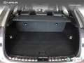 Lexus NX 300 300h F Sport 4WD - thumbnail 8