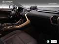Lexus NX 300 300h F Sport 4WD - thumbnail 5