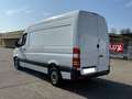 Mercedes-Benz Sprinter Kühlkasten 313 CDI*Klima*Xarios 350* Weiß - thumbnail 3