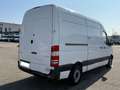 Mercedes-Benz Sprinter Kühlkasten 313 CDI*Klima*Xarios 350* Weiß - thumbnail 6