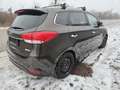 Kia Carens 1,7 CRDi ISG Gold Aut. *Eintausch*Finanzierung* Braun - thumbnail 7