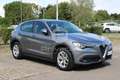 Alfa Romeo Stelvio Stelvio 2.2 Turbodiesel 190 CV AT8 Q4 Business Argento - thumbnail 3