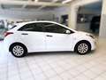 Hyundai i30 blue Trend Weiß - thumbnail 4