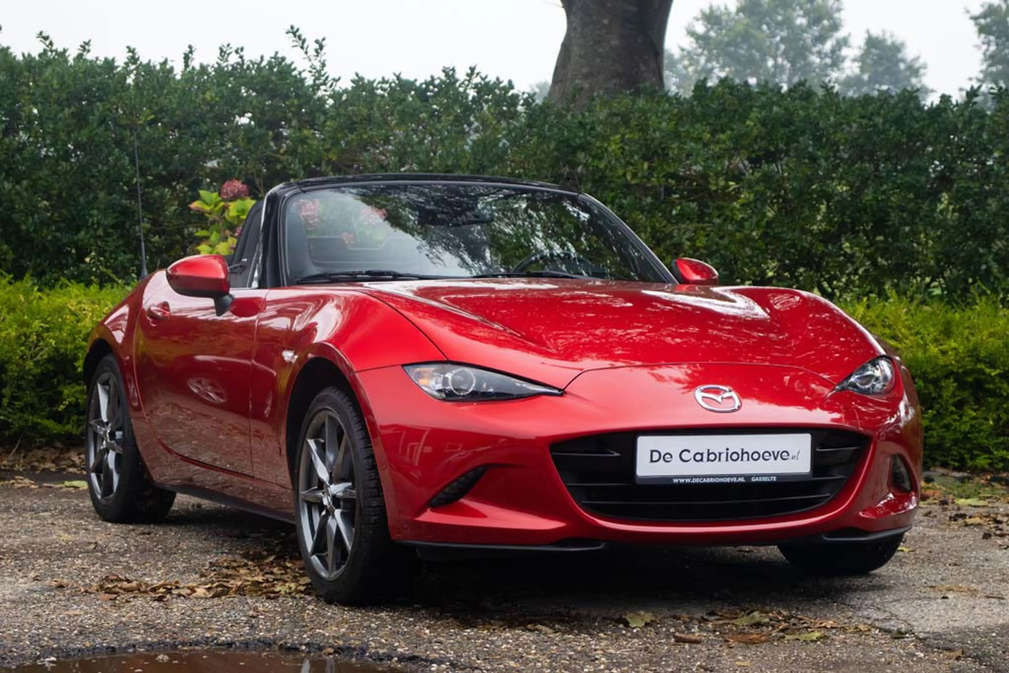 Mazda MX-5 ND 2.0l SkyActiv-G 160 GT-M Soul Red Metallic