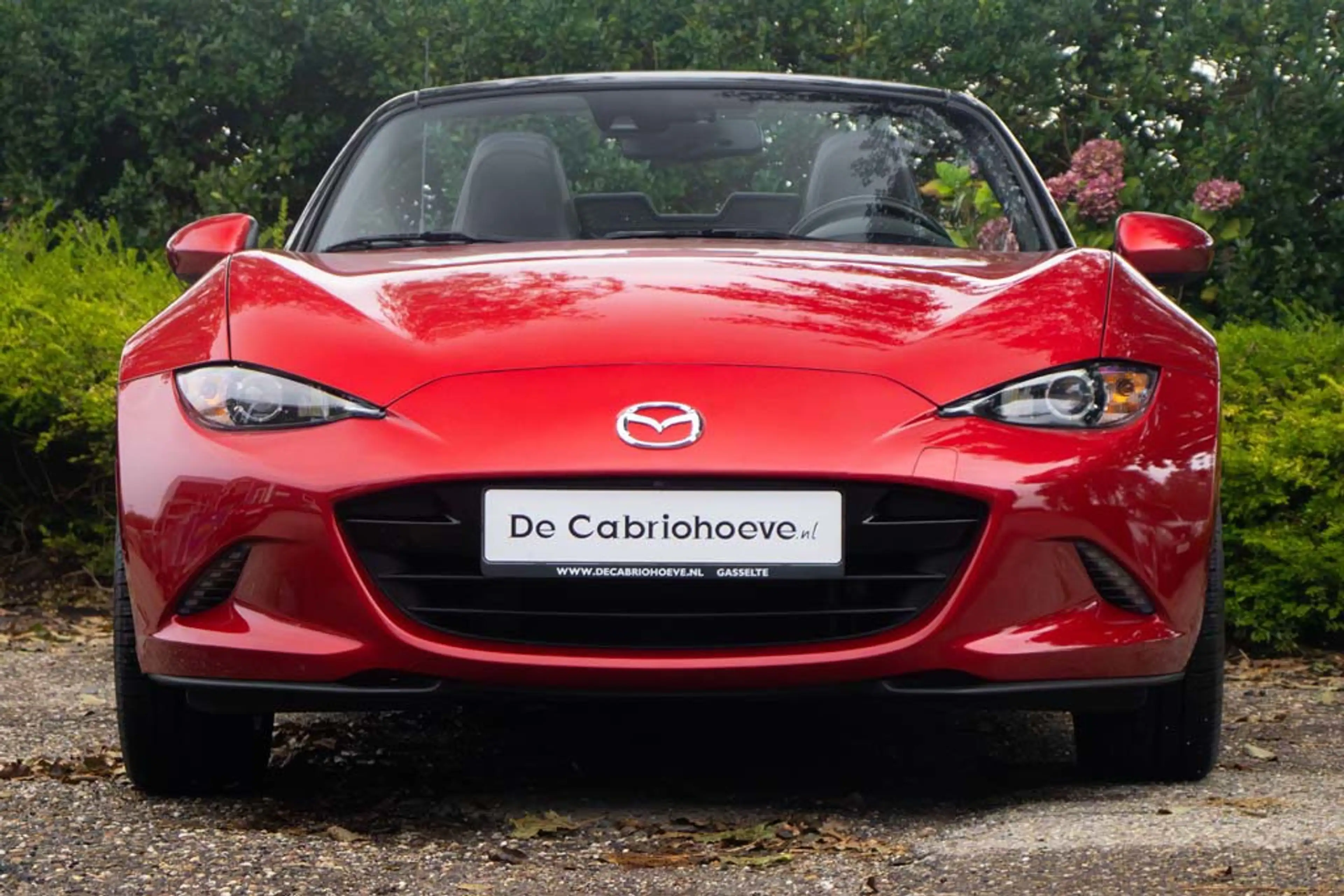 Mazda MX-5 ND 2.0l SkyActiv-G 160 GT-M Soul Red Metallic — photo 10