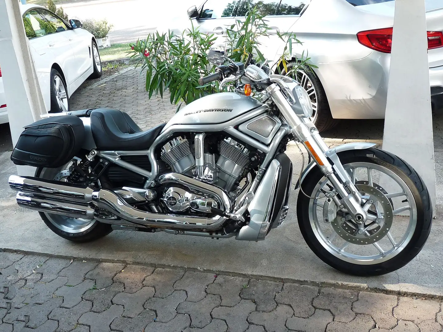 Harley-Davidson VRSC V-Rod VROD VRSCDX*Jubi.-Modell**8TKM*Sammlerstück* Srebrny - 1