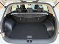 Kia Sportage 1.6 MHEV Business DCT 4x2 136 Blanco - thumbnail 12