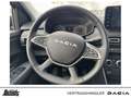Dacia Jogger ECO-G 100 Expression SITZHZG KLIMA PDC TWW R-KAM. Gris - thumbnail 12