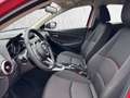 Mazda 2 Lim. Homura Rot - thumbnail 6