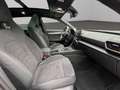 CUPRA Formentor VZ 2.0 TSI 4Drive Matrix Navi Pano Tribe Edition Grau - thumbnail 17