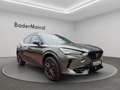 CUPRA Formentor VZ 2.0 TSI 4Drive Matrix Navi Pano Tribe Edition Grau - thumbnail 8