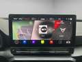 CUPRA Formentor VZ 2.0 TSI 4Drive Matrix Navi Pano Tribe Edition Grau - thumbnail 16