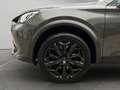 CUPRA Formentor VZ 2.0 TSI 4Drive Matrix Navi Pano Tribe Edition Grau - thumbnail 21