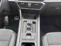 CUPRA Formentor VZ 2.0 TSI 4Drive Matrix Navi Pano Tribe Edition Grau - thumbnail 15