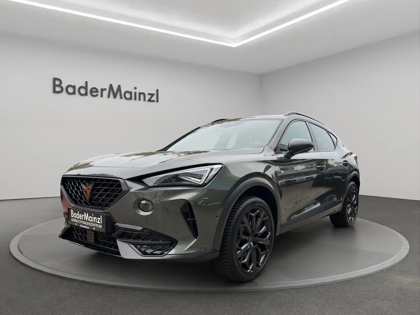 CUPRA Formentor VZ 2.0 TSI 4Drive Matrix Navi Pano Tribe Edition Grau - 1