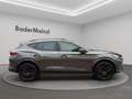 CUPRA Formentor VZ 2.0 TSI 4Drive Matrix Navi Pano Tribe Edition Grau - thumbnail 7