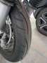 Honda XR 650 SM Rosso - thumbnail 3