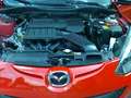 Mazda 2 Rot - thumbnail 6