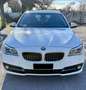 BMW 530 530d Touring xdrive Business auto E6 - thumbnail 2