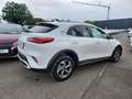 Kia XCeed Vision 1.0 T-GDI Navi Kamera Lenkradheizung Biały - thumbnail 27