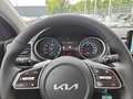 Kia XCeed Vision 1.0 T-GDI Navi Kamera Lenkradheizung Biały - thumbnail 12