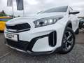 Kia XCeed Vision 1.0 T-GDI Navi Kamera Lenkradheizung Biały - thumbnail 6