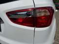 Ford EcoSport Titanium 1.0 EcoBoost AHK PDC Schiebedach SHZ Weiß - thumbnail 12