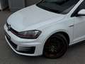 Volkswagen Golf GTI 2,0 TSI DSG Performance - Leder Weiß - thumbnail 8