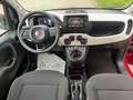 Fiat Panda Panda Cross 1.0 FireFly S&S Hybrid Rosso - thumbnail 14