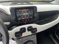 Fiat Panda Panda Cross 1.0 FireFly S&S Hybrid Rosso - thumbnail 9