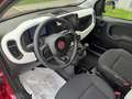 Fiat Panda Panda Cross 1.0 FireFly S&S Hybrid Rosso - thumbnail 6