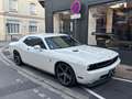 Dodge Challenger 250 SE / REGULATEUR DE VITESSE Weiß - thumbnail 3