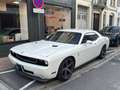 Dodge Challenger 250 SE / REGULATEUR DE VITESSE Weiß - thumbnail 9