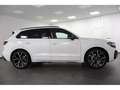 Volkswagen Touareg 3.0 TDI 4M R-Line "Black Style" Navi, Weiß - thumbnail 4
