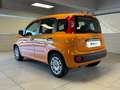 Fiat Panda 1.2 69cv E6 Easy Arancione - thumbnail 3