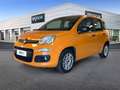 Fiat Panda 1.2 69cv E6 Easy Arancione - thumbnail 1