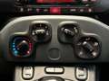 Fiat Panda 1.2 69cv E6 Easy Arancione - thumbnail 15
