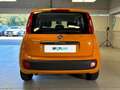 Fiat Panda 1.2 69cv E6 Easy Arancione - thumbnail 4