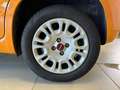 Fiat Panda 1.2 69cv E6 Easy Arancione - thumbnail 7