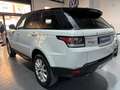 Land Rover Range Rover Sport 3.0TDV6 HSE Aut. Blanc - thumbnail 6