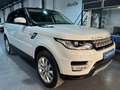 Land Rover Range Rover Sport 3.0TDV6 HSE Aut. Blanc - thumbnail 3